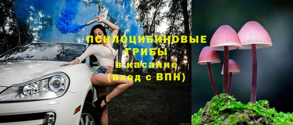 амф Абаза