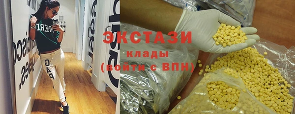 МДПВ Пересвет