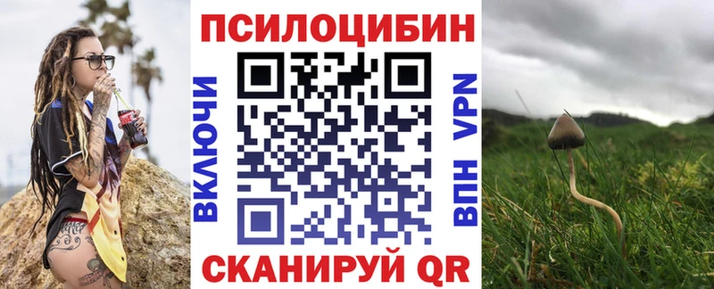 где продают наркотики  Котовск  Галлюциногенные грибы GOLDEN TEACHER 